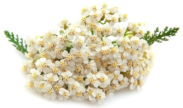 Το Gelarex περιέχει χίλια φύλλα